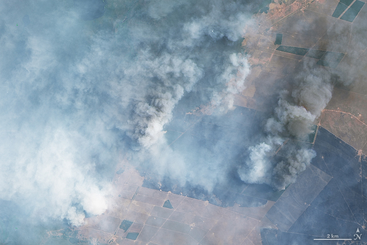 Στο έλεος των Δασικών  Πυρκαγιών και της ξηρασίας η επαρχία Corrientes της Αργεντινής