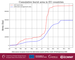 C3S_ESOTC21_wildfires_Fig4b-300x240.png
