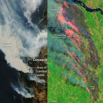 Χιλή: Φονικές δασικές πυρκαγιές • 24 νεκροί & χιλιάδες τραυματίες