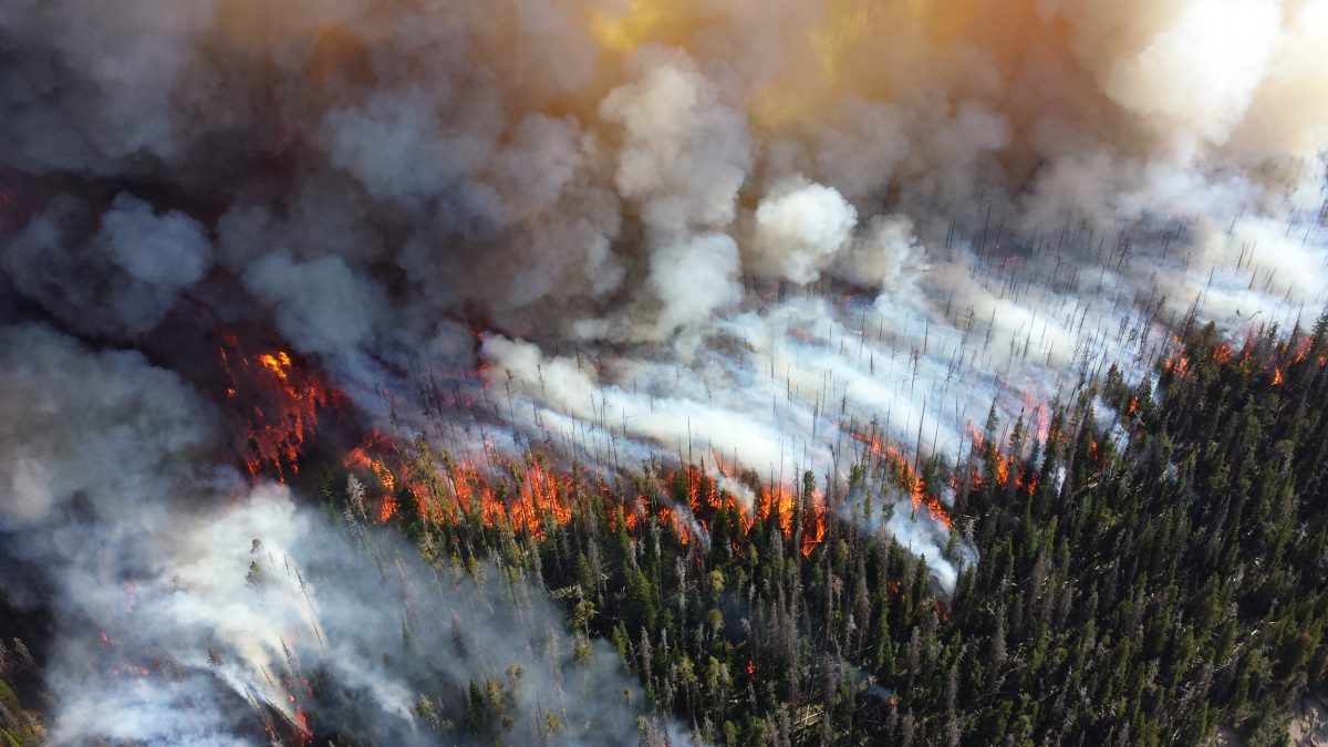 Aerial view of the Alder Fire in Yellowstone National Park, 2013 (Photo by Mike Lewelling, National Park Service, Public domain, via Wikimedia Commons)